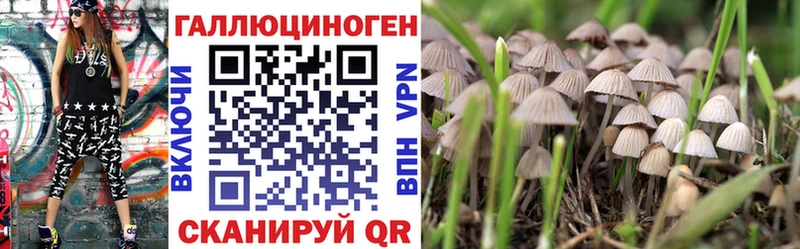 Купить закладки  Каменногорск  Галлюциногенные грибы Psilocybine cubensis 