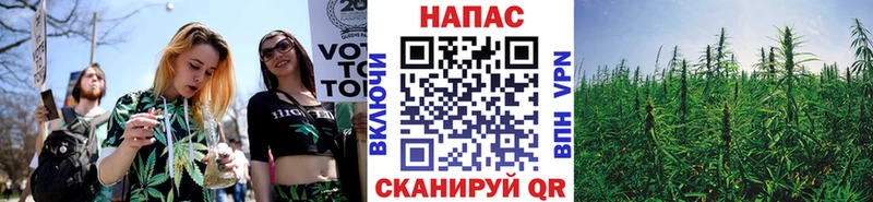 Купить где  Каменногорск  Канабис конопля 